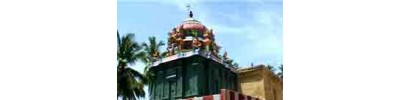 24. திருச்சிறுபுலியூர்